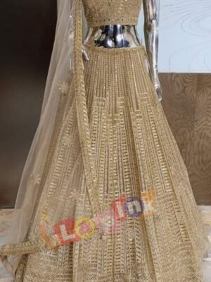 Golden Color Lehnga Cholli