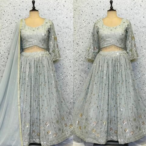 Beautiful lehnga choli