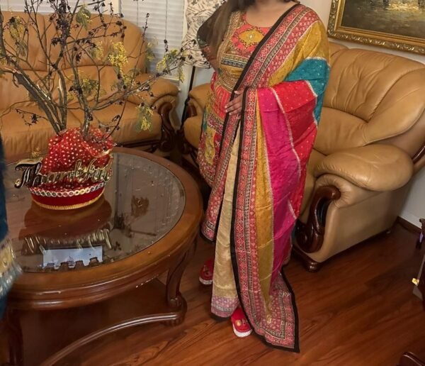 Designer Party Wear Punjabi Suit